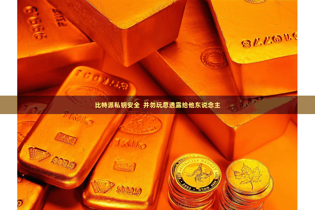 比特派私钥安全 并勿玩忽透露给他东说念主