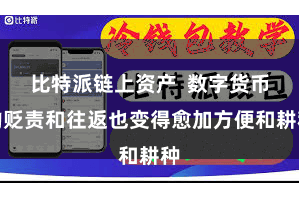 比特派链上资产 数字货币的贬责和往返也变得愈加方便和耕种