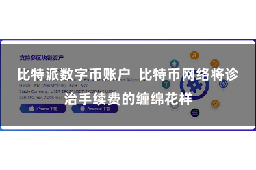 比特派数字币账户  比特币网络将诊治手续费的缠绵花样