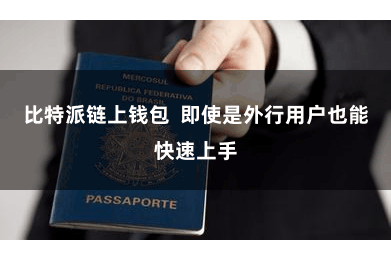 比特派链上钱包  即使是外行用户也能快速上手
