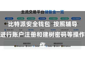 比特派安全钱包  按照辅导进行账户注册和建树密码等操作